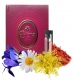 Bruna №147 pour Femme 1881