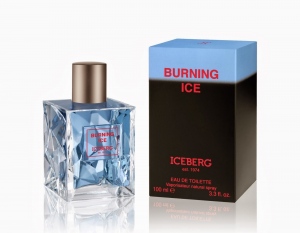 ICEBERG BURNING ICE