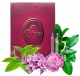 Bruna №334 Eclat