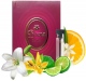 Bruna №529 Bamboo