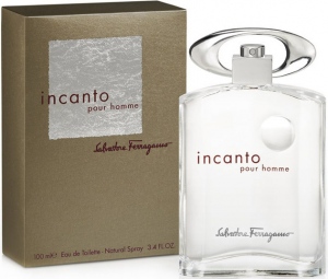 Salvatore Ferragamo Incanto pour Homme