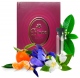 Bruna №846 Escentric 05