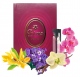 Bruna №850 Azalea