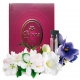 Bruna №884 Iris Porcelana