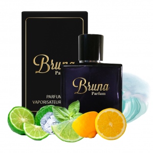 Bruna №266 Acqua di Gio For Men